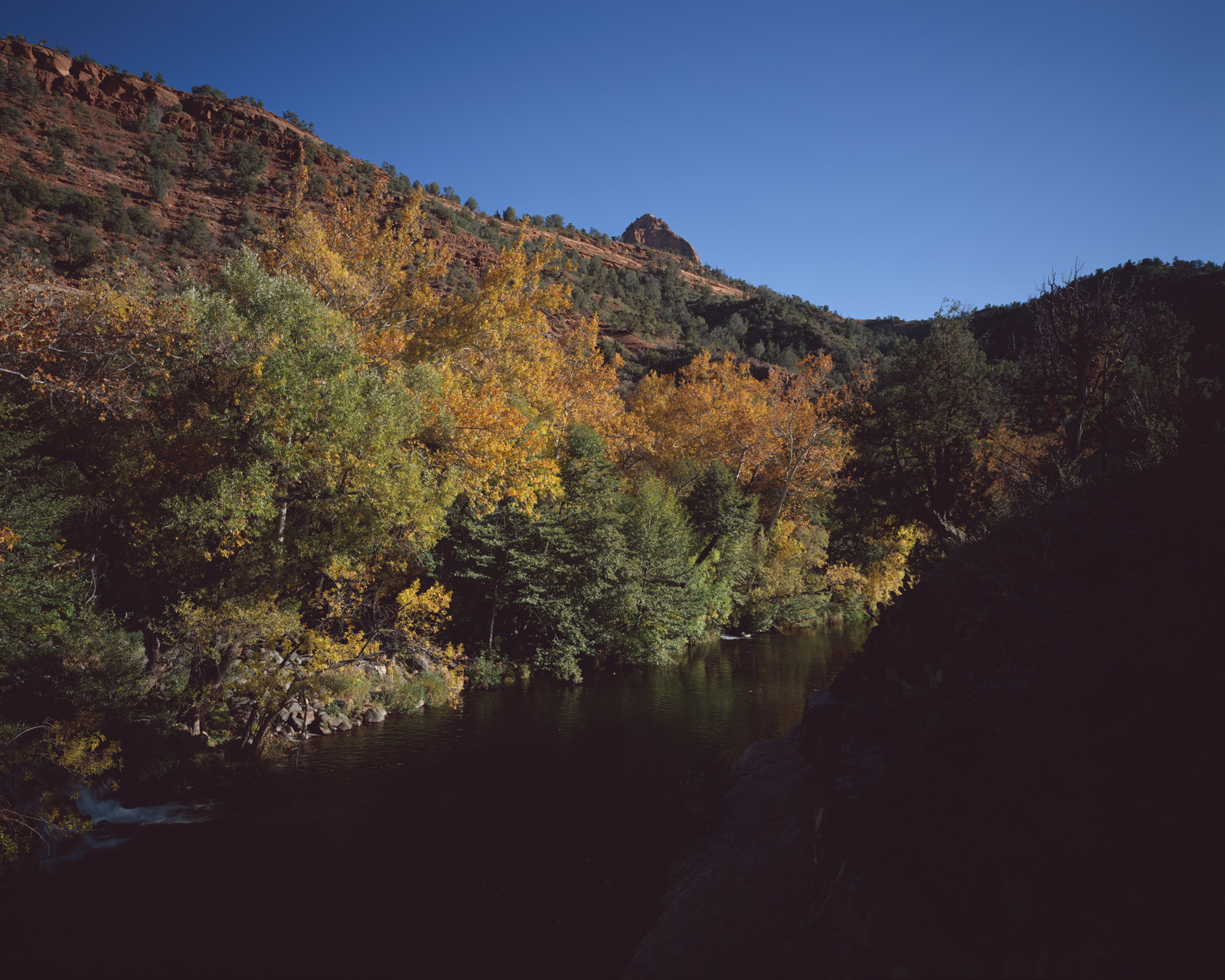Fall leaves on the Sycamores, with Oak Creek in front, at Grasshopper Point north of Sedona