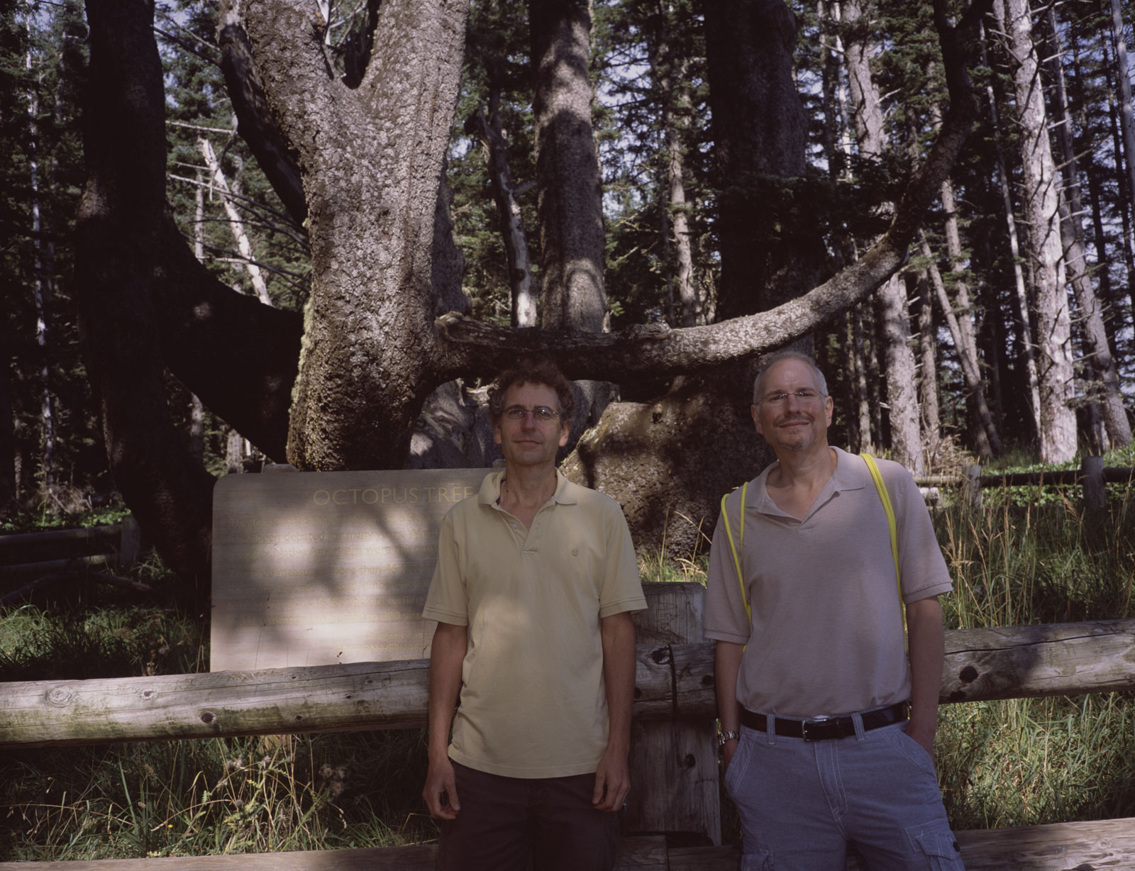 Dan and Marc standing before the Octopus Tree at Cape Meares State Park along the Oregon coast